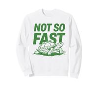 Not So Fast Turtle Sweatshirt