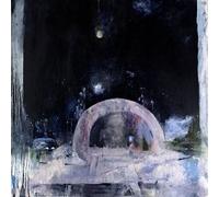 Not to Disappear [Import Allemand]