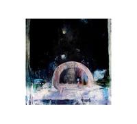 Daughter - Not to Disappear [Import]