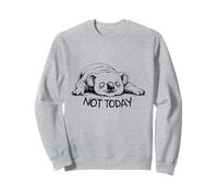 Not Today Koala Funny Lazy Animal Lover and Sleeping Sweatshirt