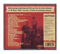 Not Too Old To Start Cryin' - The Lost 1966 Masters