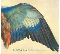 The Self Help Group - Not Waving, But Drowning [Import]