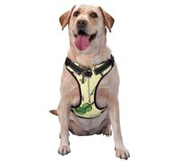 Note de Musique pour Violon,Harnais pour Animaux de Compagnie, Harnais réfléchissant réglable pour Chien,M