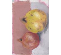 NOTEBOOK: Pomegranate 03