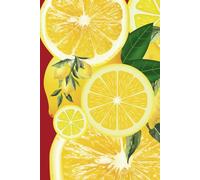 Notebook To Write In: Notes, Journal Planner, Lined Paper, 110 Pages, 6" x 9" Inches, School