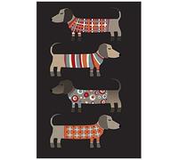 Notes: A Blank Guitar Tab Music Notebook With Dachshund In Knitwear Cover Art