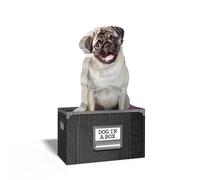 Notes autocollantes Chien de moutarde dans une boîte pour toutes vos idées les m