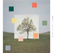 Notes From A Quiet Life Vinyle Jaune et Vert