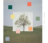 Notes from a Quiet Life - Vinyle Jaune Vert