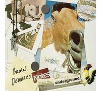 Notes From The Underground