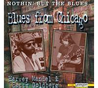 Nothin' But the Blues - Blues from Chicago