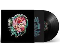 Nothing As The Ideal Vinyle