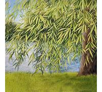 Nothing But Green Willow