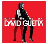 Nothing But The Beat (2 Vinyles)