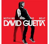 Nothing But The Beat – 2 vinyles
