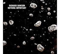Nothing Important by DAWSON,RICHARD [Audio CD] NEUF