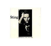 Nothing Like The Sun