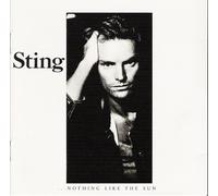 Nothing Like The Sun