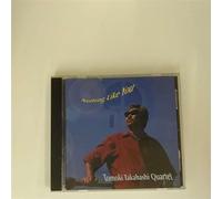 Nothing Like You [JP-Import]