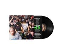 Nothing's Fake Vinyle