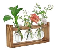 Notice Station de Propagation Plantes - Vase Hydroponique 3 Bulbes