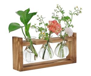 Notice Station de Propagation Plantes - Vase Hydroponique 3 Bulbes