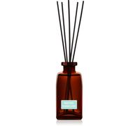 Notino Reed Diffuser Eucalyptus & Mint diffuseur d'huiles essentielles 250 ml
