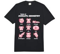 Notions De Base sur La Géométrie des Axolotls Enseignant De Comfort Colors Adult Heavyweight T-Shirt