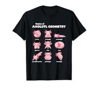 Notions De Base sur La Géométrie des Axolotls Enseignant De T-Shirt Graphique avec Valeur, Homme, Noir, XL