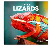 NOTIQUE Calendrier mural 2026 avec brochures de lézards - Calendrier mensuel - 30 x 30 cm (30 x 60 cm ouvert)