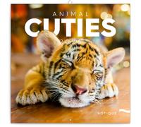 NOTIQUE Calendrier mural 2026 avec brochures pour bébés animaux, calendrier mensuel, 30 x 30 cm, 30 x 60 cm, ouvert