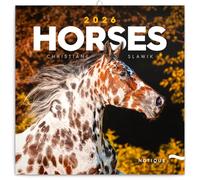 NOTIQUE Calendrier mural 2026 - Motif chevaux - Avec calendrier mensuel - 30 x 30 cm (30 x 60 cm) ouvert