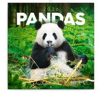NOTIQUE Calendrier mural 2026 Pandas, calendrier mensuel en brochure, design esthétique 30 x 30 cm (ouvert 30 x 60)