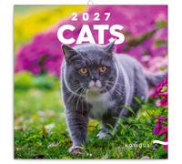 NOTIQUE Calendrier mural 2027 - 30 x 30 cm - Chat | Calendrier esthétique et calendrier mensuel avec photos de chat - Décoration murale élégante et idée cadeau pour les amoureux