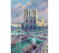 Notre-dame de paris de luce