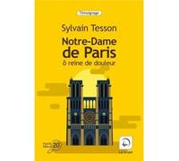 Notre-Dame de Paris Edition en gros caracters - Sylvain Tesson - De La Loupe - broché - Récit