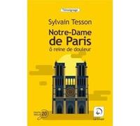 Notre-Dame de Paris Sylvain Tesson (Auteur)