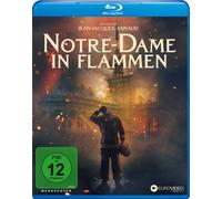 Notre-Dame in Flammen (Blu-ray) Samuel Labarthe Jean Paul Bordes