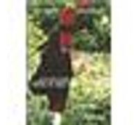 Notre musique - DVD Zone 1 E