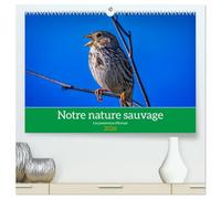 Notre nature sauvage, les passereaux d'Europe (Calendrier mural 2026 DIN A2 vertical) calendrier de bureau: A la découverte des habitants de nos campagnes.