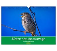 Notre nature sauvage, les passereaux d'Europe (Calendrier mural 2026 DIN A3 horizontal), CALVENDO calendrier mensuel