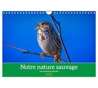 Notre nature sauvage, les passereaux d'Europe (Calendrier mural 2026 DIN A4 horizontal), CALVENDO calendrier mensuel