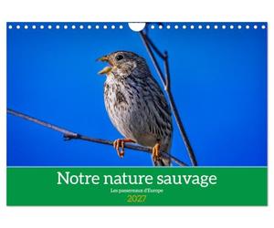 Notre nature sauvage, les passereaux d'Europe (Calendrier mural 2027 DIN A4 vertical), CALVENDO calendrier mensuel: A la découverte des habitants de nos campagnes.