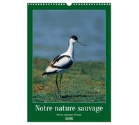Notre nature sauvage, oiseaux aquatiques d'Europe (Calendrier mural 2026 DIN A3 vertical), CALVENDO calendrier mensuel