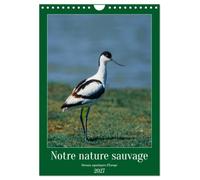 Notre nature sauvage, oiseaux aquatiques d'Europe (Calendrier mural 2027 DIN A4 horizontal), CALVENDO calendrier mensuel: Oiseaux que l'on peut découvrir en Europe