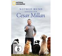 Notruf Hund-Einsatz für Cesar Millan-National Geographic/Staffel 1 [Import]