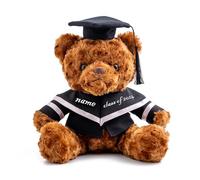 Nounours Personnalisé 2024, Cadeau de fin D'études pour elle et lui avec Texte, Nounours de fin D'études Comme Cadeau de fin D'études Personnalisé le jour de la Remise des Diplômes (25cm-Texte)