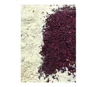 Nourriture agate pour escargots et escargots - Avec betteraves rouges - Mélange de chaux et escargots - Mélange d'escargots et d'escargots - Mélange de substances naturelles pour la construction des