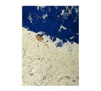 Nourriture d'agate pour escargots et escargots - Avec spiruline bleue - Mélange de chaux et escargots - Mélange de substances naturelles pour la construction des cages à escargots (250 g)