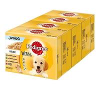 Nourriture Humide pour Chiots - PEDIGREE - Vital Protection - Grand Format - Pâtée - Junior